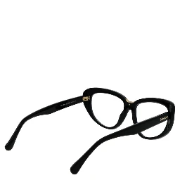Black Plastic Glasses (Frames)