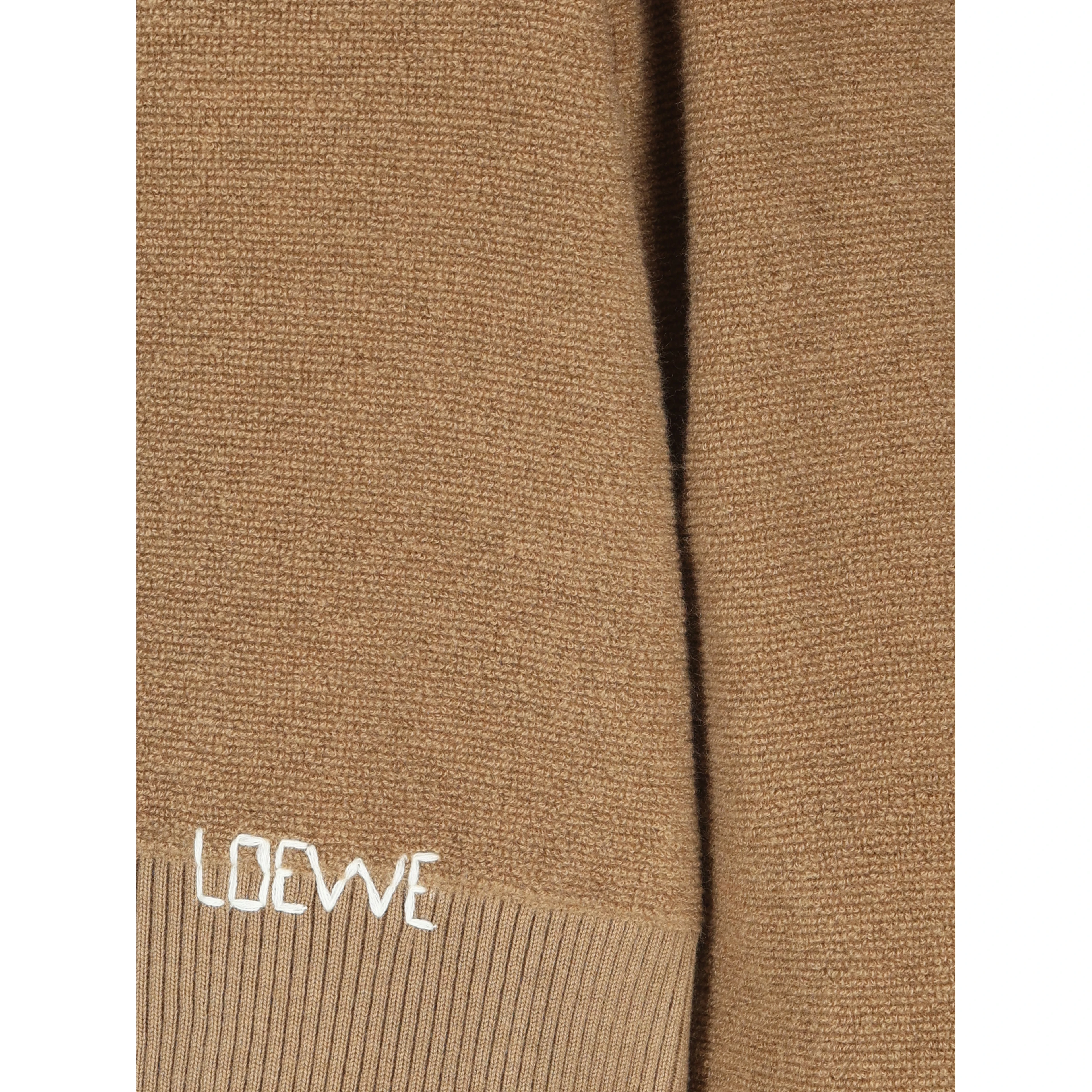 Loewe Sweaters Brown