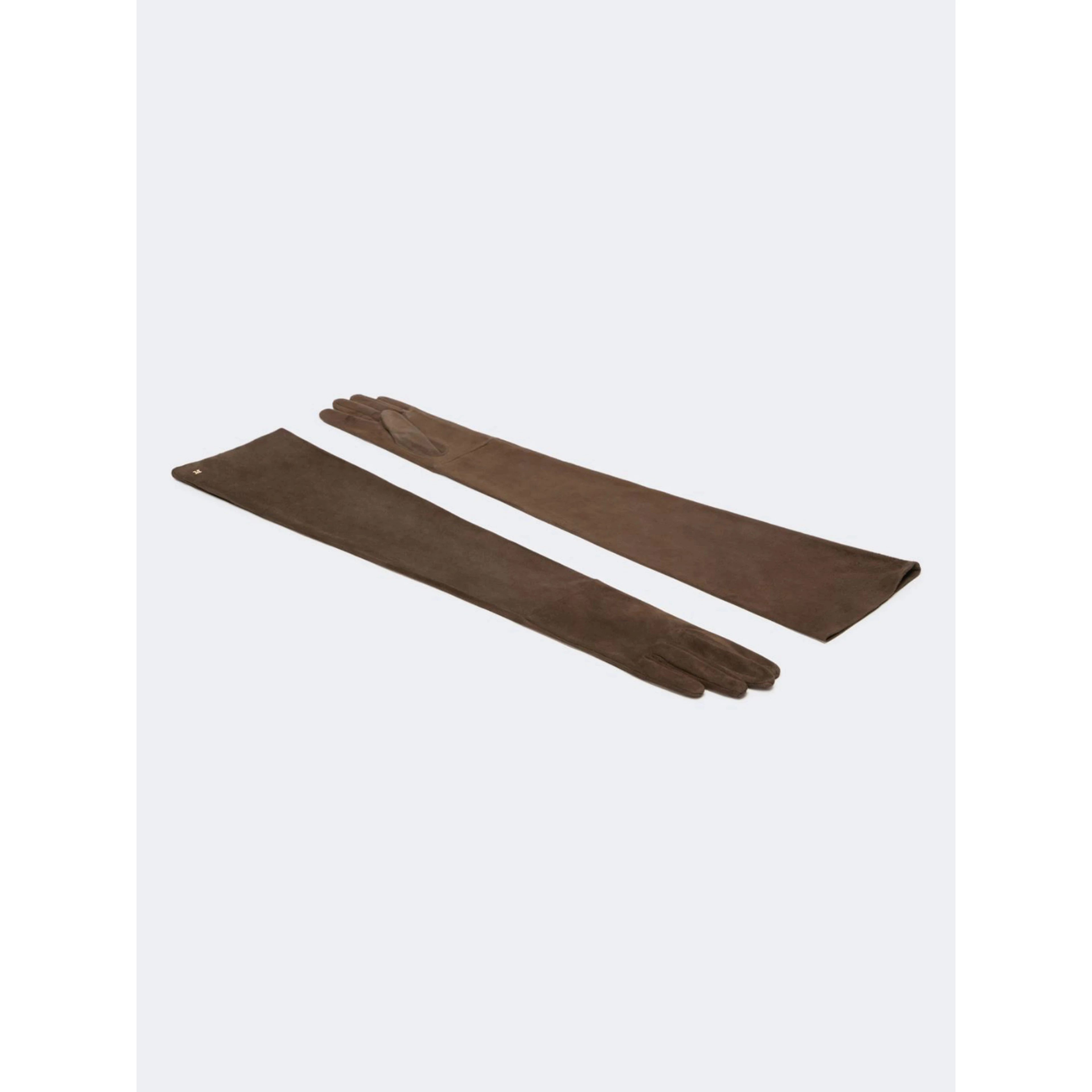 MAX MARA MASSESTREMO gloves