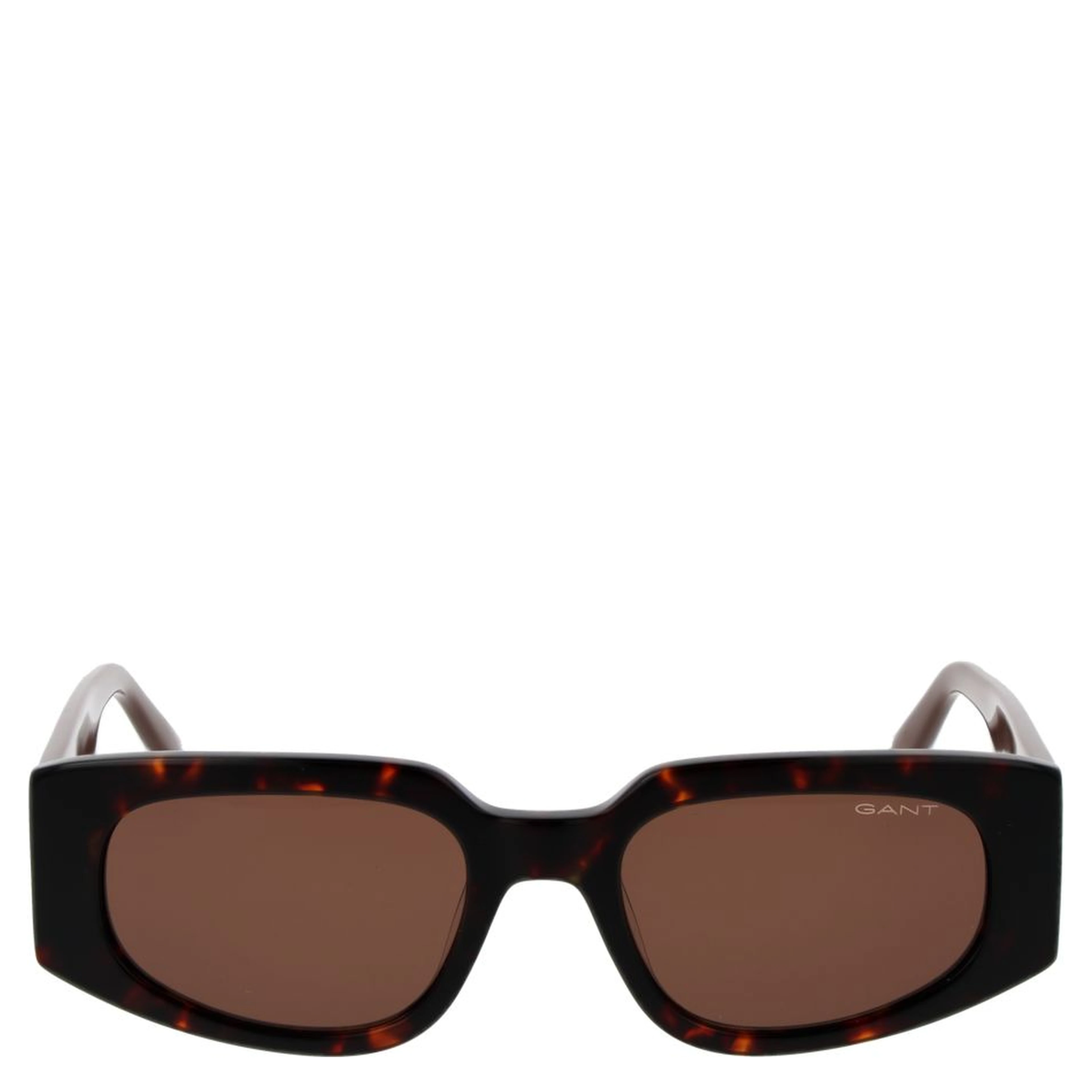 Brown Acetate Sunglasses
