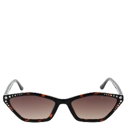 Brown Plastic Sunglasses