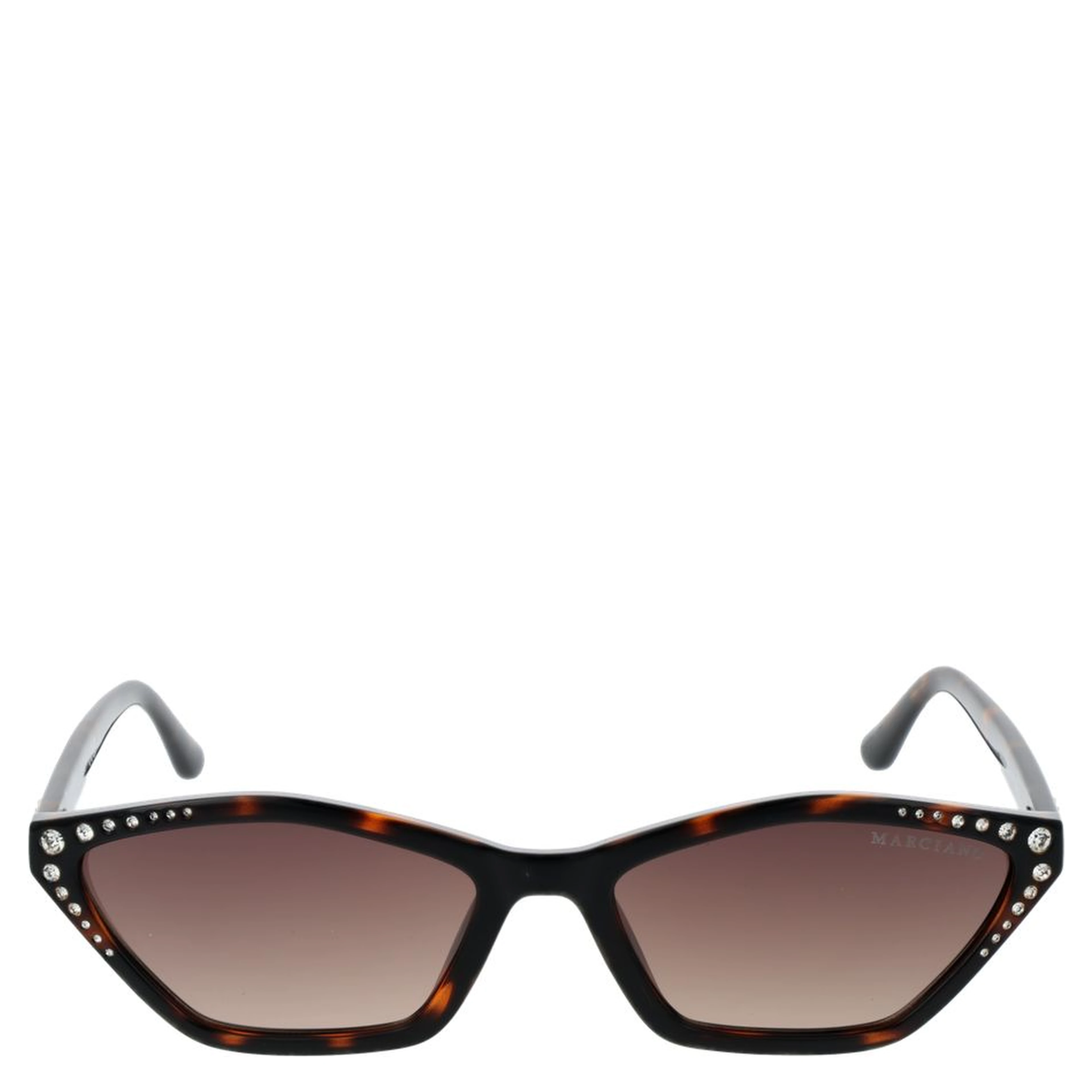 Brown Plastic Sunglasses