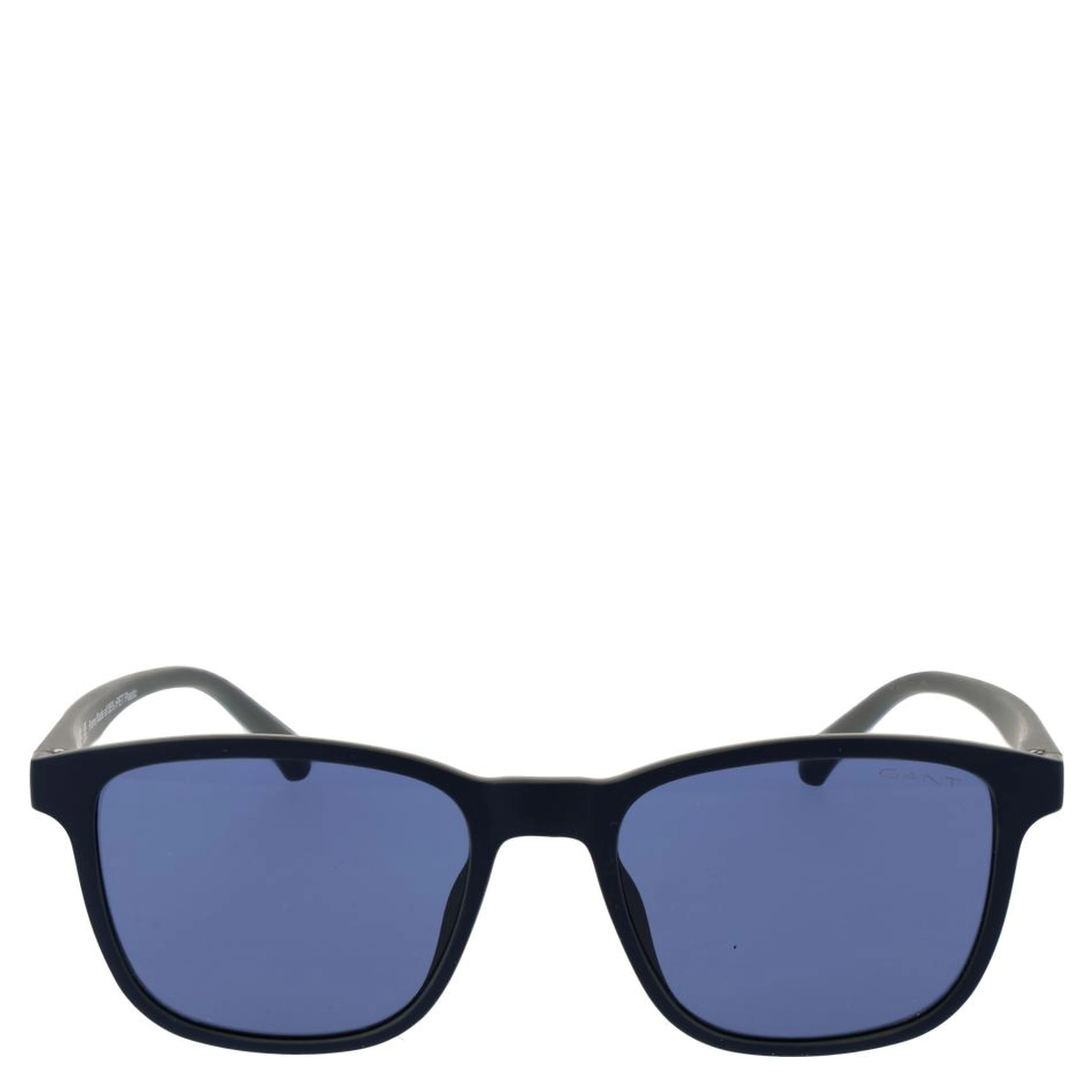 Blue Plastic Sunglasses